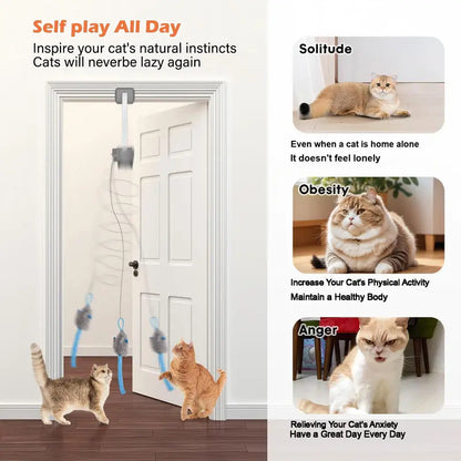Electric Cat Teaser,  Door-Mounted Interactive Cat Toy— Two Fun Exercise Modes