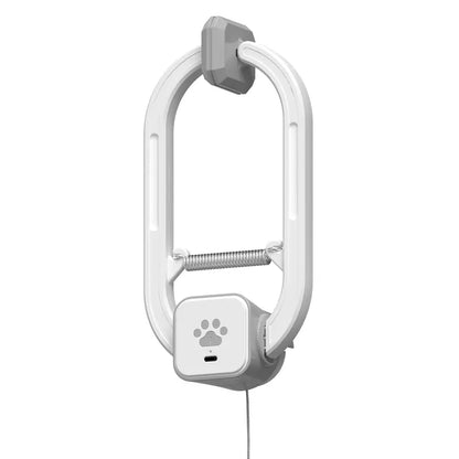 Electric Cat Teaser,  Door-Mounted Interactive Cat Toy— Two Fun Exercise Modes