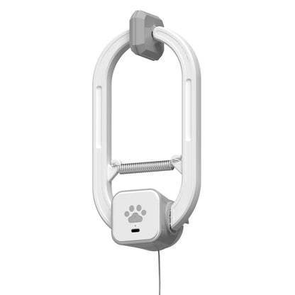 Electric Cat Teaser,  Door-Mounted Interactive Cat Toy— Two Fun Exercise Modes