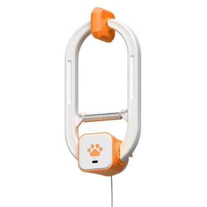 Electric Cat Teaser,  Door-Mounted Interactive Cat Toy— Two Fun Exercise Modes