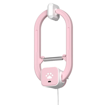 Electric Cat Teaser,  Door-Mounted Interactive Cat Toy— Two Fun Exercise Modes